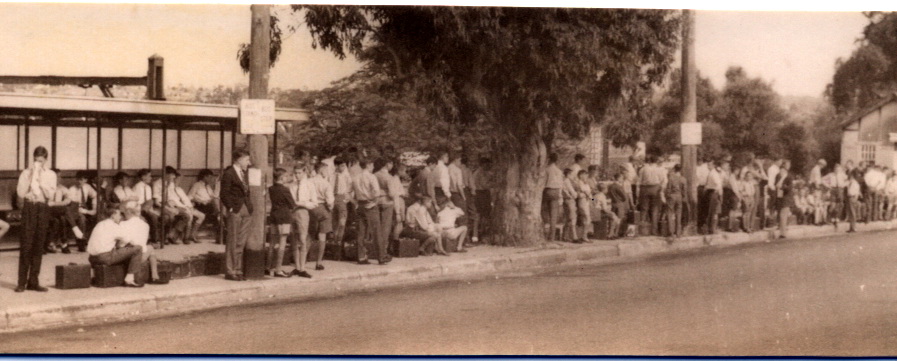 Bus Q Epping